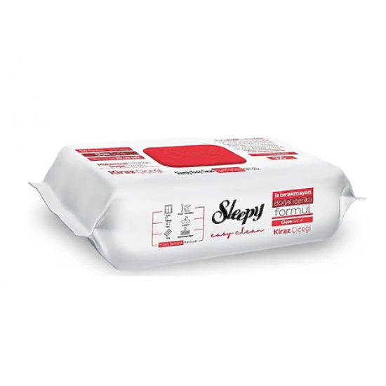 Sleepy Yüzey Havlusu 100'lü